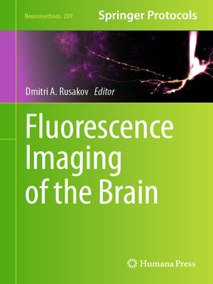 cover image of Fluorescence Imaging of the Brain